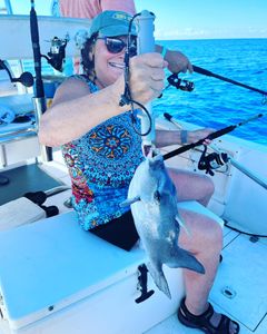 A person fishing in Marathon, Florida
