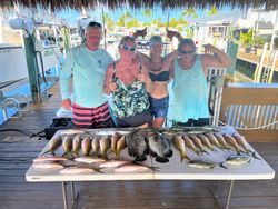Two tripletail fish caught while fishing in Marathon