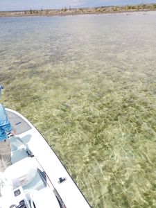 Fishing in Freeport