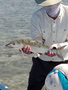 Bonefish caught in Freeport