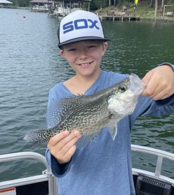 Crappie fish caught while fishing in AL