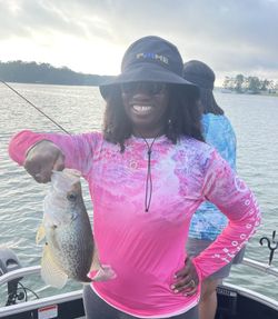 A photo of a single 11-inch crappie caught while fishing in Kowaliga