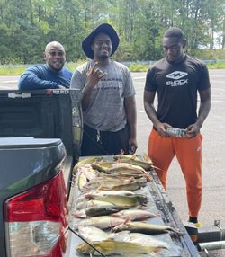 1 fishing in AL