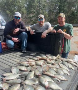 Anglers fishing in Alabama
