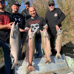 4 lake trout, rainbow trout, and coho salmon in a scenic California fishing spot