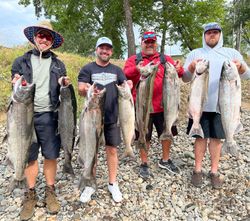 7 coho salmon and rainbow trout caught while fishing in CA
