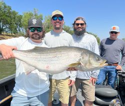 4 people fishing in california