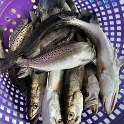 Texas Fishing: Where Memories Begin