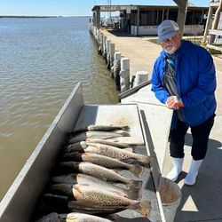 Inshore Fishing in Galveston 2024