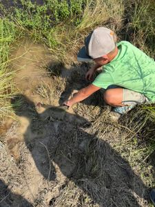 Angler fishing on Bolivar Peninsula