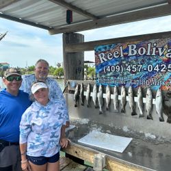 7 fish caught on Bolivar Peninsula
