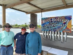 4 bluefish caught at Bolivar Peninsula during fishing trip