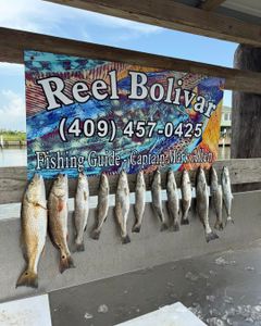 9 fish caught while fishing in TX