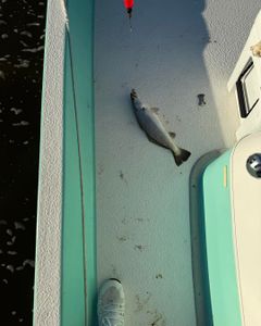 A stunning beach landscape on the Bolivar Peninsula