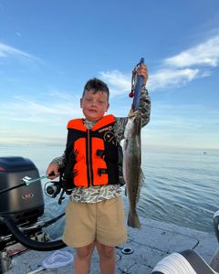Spotted Weakfish caught on Bolivar Peninsula