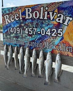 Spotted Weakfish fishing in TX