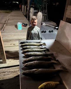 Angler catches 6 fish in TX