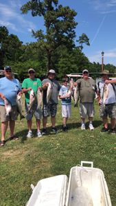 Big catch on Santee Cooper! 