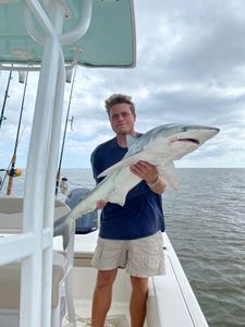 Reel in the action at Santee Cooper!