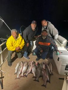 Striped bass season is on! 