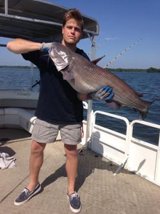 Angler holding a massive blue catfish caught in Cross