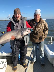 Prized blue catfish caught while fishing at Cross