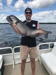 Photograph of a fisherman catching a blue catfish at Cross