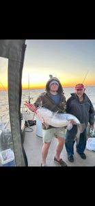 Blue catfish caught while fishing