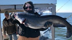 Fisherman with a brown bullhead fish caught on a fishing trip