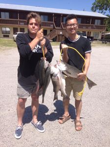 Anglers fishing at Cross location