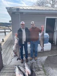 4 blue catfish, 28 inches, fishing in SC