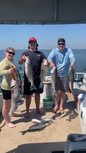 Striped bass fishing at Cross location