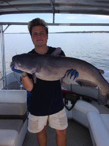One white catfish caught while fishing