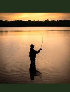 Majestic Atlantic Sailfish swimming in the waters of Florida