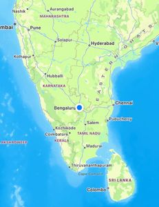 Horseback riding, fishing, and water sports in Florida