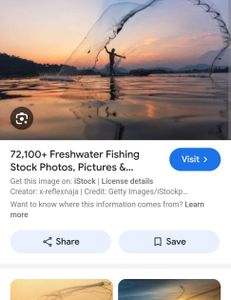 Horseback riding, fishing, and water sports in Florida