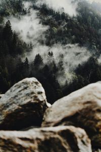 Exhilarating outdoor activities in Florida - fishing, horseback riding, hunting, snow sports, tours, water sports