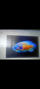 Caught an Oscar, what a beauty!