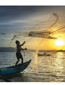 Scenic landscape of Florida