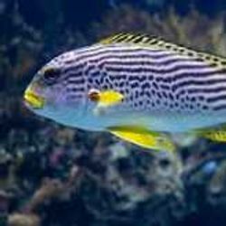 A scenic view of Florida's natural beauty