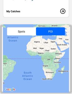 Stunning landscape of Florida's natural beauty