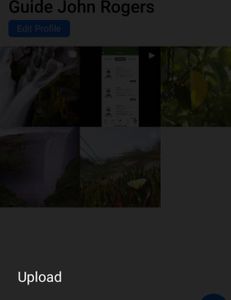 Scenic view of Florida landscape