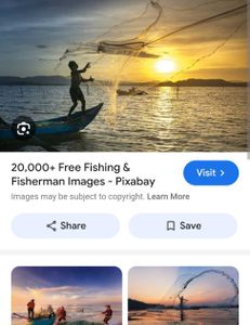 Outdoor adventure in Florida with a variety of activities