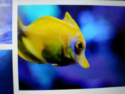 Scenic image of the Florida coastline