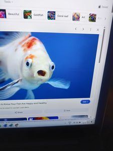 A single person on a horseback riding adventure in the beautiful Florida landscape.