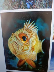 A breathtaking Florida landscape with various outdoor activities