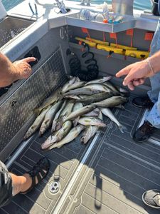Two anglers fishing in Cleveland, Ohio