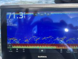 Fishing tour in Cleveland