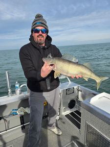 Pike-Perch caught fishing in OH