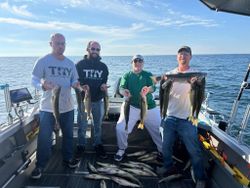 8 fish caught while fishing and fishing tours in OH